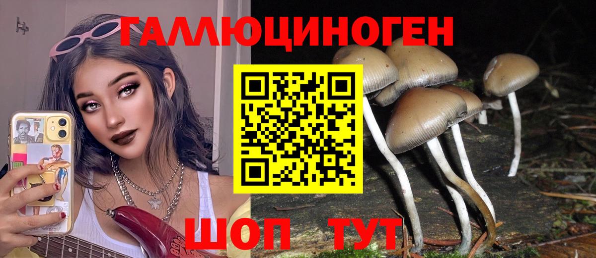 Волгодонск  Галлюциногенные грибы мухоморы  Вход с VPN 
