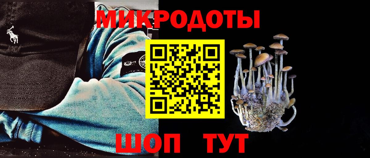 Псилоцибиновые грибы Psilocybine cubensis Волгодонск